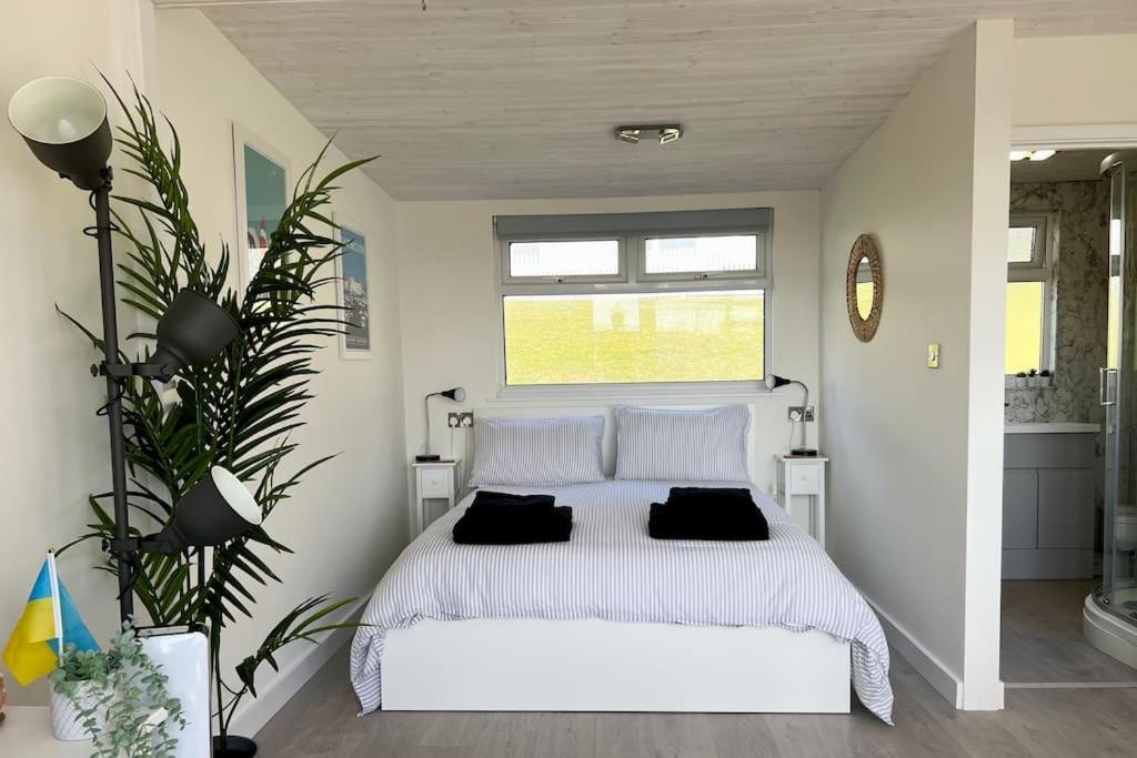 Little Haven, One Bed In Dartmouth, Devon Apartment